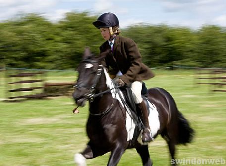 Wanborough Horse and Dog show